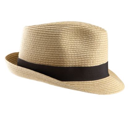 Chapeau Panama